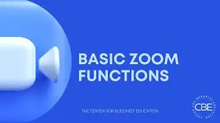 Basic Zoom Functions