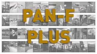 50 photos on Ilford Pan F Plus