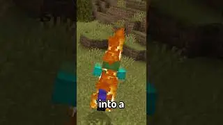 Minecraft But, You Control Who I Am...