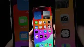 Apple’s iOS 17 camera introduces a horizontal auxiliary line 
