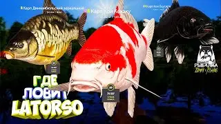 Русская рыбалка 4. 🎣 оз. Медное 🐋🐋🐋💦 КАК ЛОВИТ LATORSO 👀