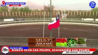 3RA SERIE LIBRE,  RODEO CLUB SAN FELIPE, ASOCIACION SAN FELIPE, MEDIALUNA SANTA MARIARA