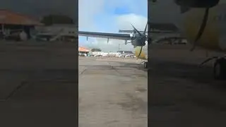 В аэропорту Сан-Паулу  огромная птица влетела в нос пассажирского самолёта  застряла в нём.