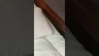 Матрасы для ПАРЕНИЯ В БАНЕ.