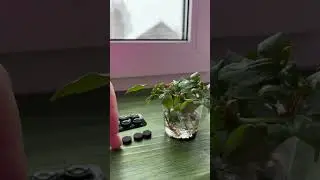 Про активированный уголь