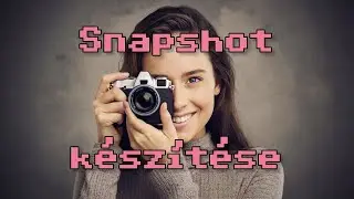 Snapshot készítése | VICE