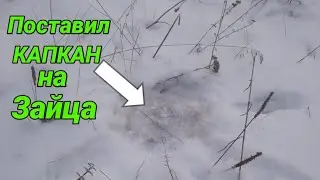 Нашол Где ЕСТЬ ЗАЯЦ-БЕЛЯК ПОСТАВИЛ КАПКАН [ЗАЯЦ ПОЯВИЛСЯ]