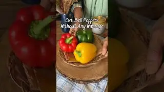 Easy Capsicum Hack !!!! Zero wastage