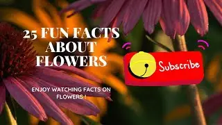 25 Fun Facts About Flowers | Unique Videos