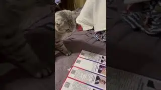 Голосуем!!