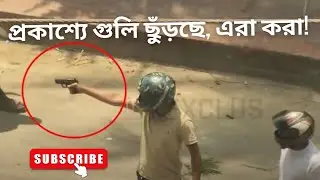 প্রকাশ্যে গুলি ছুঁড়ছে, এরা করা! | Quota Reform Movement  update