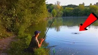 КАРПЫ МОНСТРЫ РВУТ ЛЕСКУ! Ловля карпа на горох летом