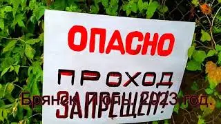07. 11. 2023 год. " Судебная карусель" по улице Нижне - Заречная продолжается. #осгтвбрянщины