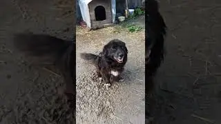 Знакомьтесь, Михаил! 🤗