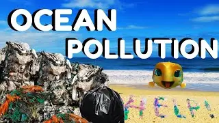 Ocean Pollution Facts for Kids 