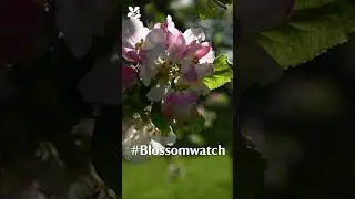 Join in with 