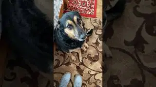 Уроки актерского мастерства от Люси😁 