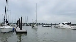 Bay Highlights:  Bowleys Marina in Middle River