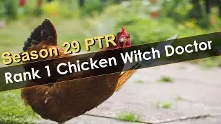 Rank 1 Chicken Witch Doctor Season 29 PTR Build Guide Coming Soon!