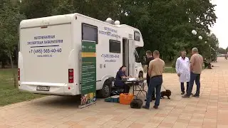 Вакцинация, регистрация и чипирование хвостатых