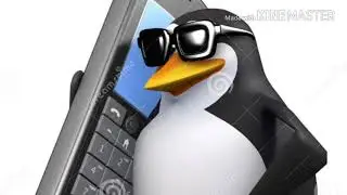 Новая рубрика