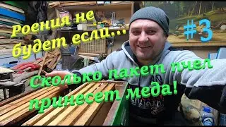 ✅ Сколько пчело-пакет даст меда! Роения не будет если...