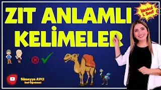 ZIT ANLAMLI KELİMELER Sümeyya Avcı İlkokul 1. Sınıf