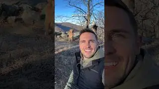 Dog raises paw for selfie