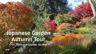 Autumn Garden Tour 2022 - Fall Color Part 1 | Our Japanese Garden Escape