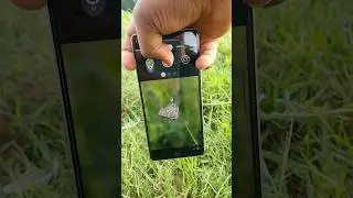 Google Pixel 7 MACRO TEST 