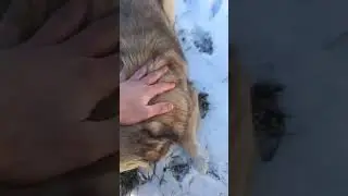 Кпзимир-моя гордость.