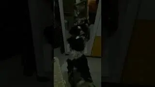 Şaşırtan video