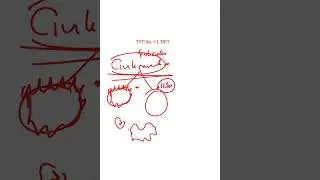 CIVIK MANTARLARIN GENEL ÖZELLİKLERİ NELERDİR ? TYT+1 NET 