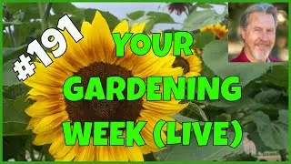 Plan a Garden on Your Phone (Q&A)