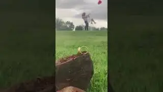 Aprenda fotografia criativa. Me siga para mais dicas. #shorts