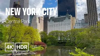 New York City Walking Tour - Central Park - Spring 2023