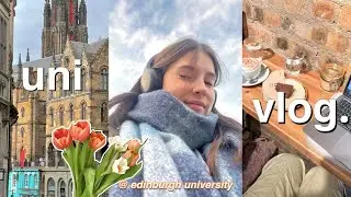 uni vlog☕️studying in cafés, wardrobe declutter, food shopping
