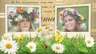 Ромашки для Наташки!