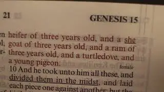 Read Aloud KJV Bible Genesis Ch 15 #reading #english #education #audiobooks #learning Video 147
