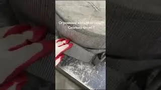 сколько стоит катализатор от спецтехники