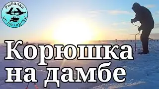 Корюшка на дамбе. Январь 2019.