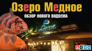 Озеро Медное • Карпы Кои • Обзор нового водоема • Русская Рыбалка 4