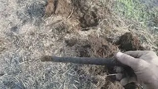 Весенний коп , хорошие находки.