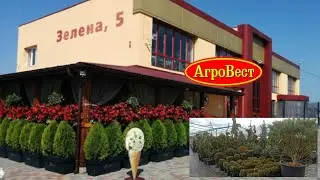 Маленька екскурсія по магазину АгроВест (насіння, дерева, саджанці, кущі)