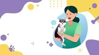 Врач собака ветеринар 2D 6 фон для видео Собаки и работа с ними