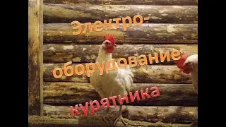 Обогрев и освещение курятника (кур) в зимнее время. Автоматизация и экономия. 