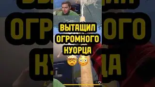 😎ТОПОВЫЙ УЛОВ🐠 