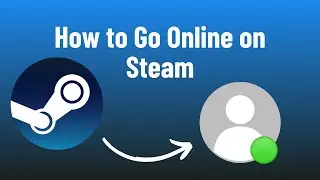 How to Go Online on Steam
