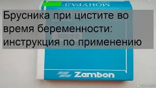 Брусника при цистите во время беременности: инструкция по применению