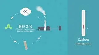 Bioenergy with Carbon Capture and Storage (BECCS)